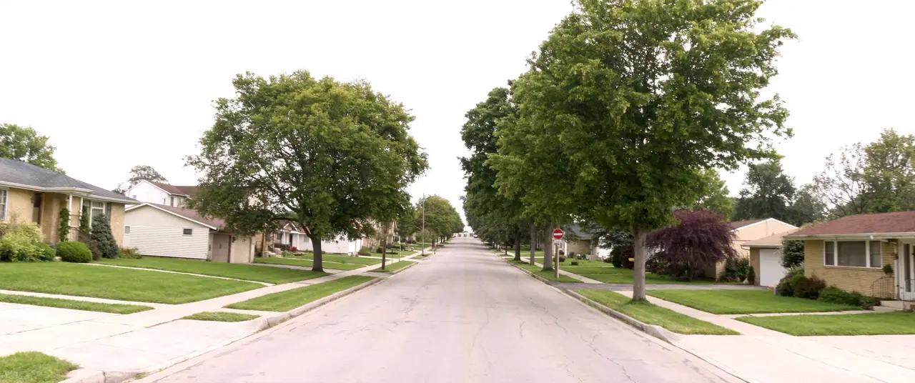 Rendered wide view of a tree-lined suburban street of mid-century houses